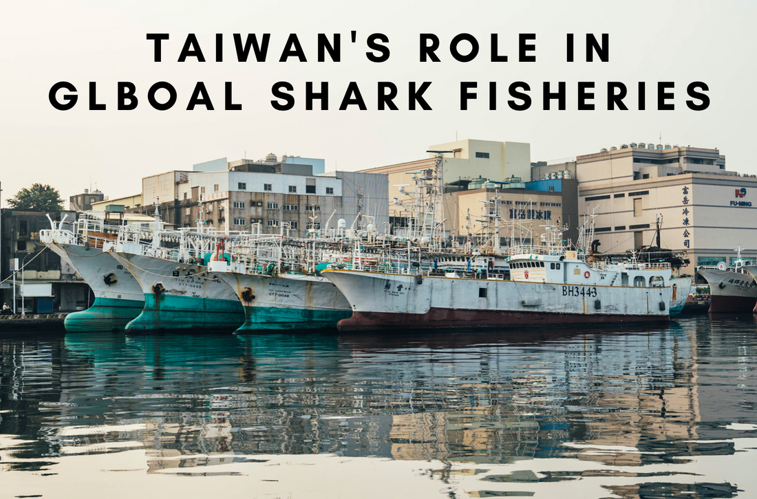 taiwan's role in global shark fisheries