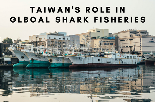 taiwan's role in global shark fisheries