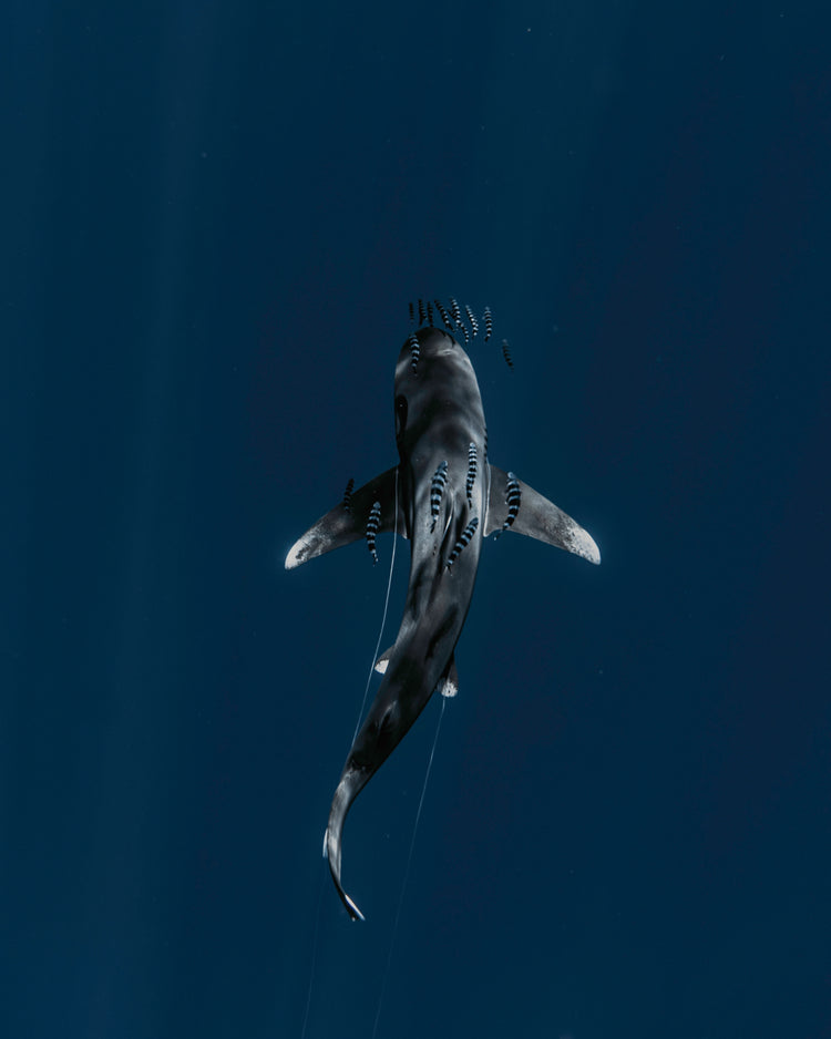 opal galaxy bezel necklace