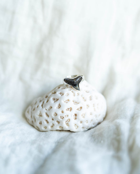 found at sea fossil ring size 6