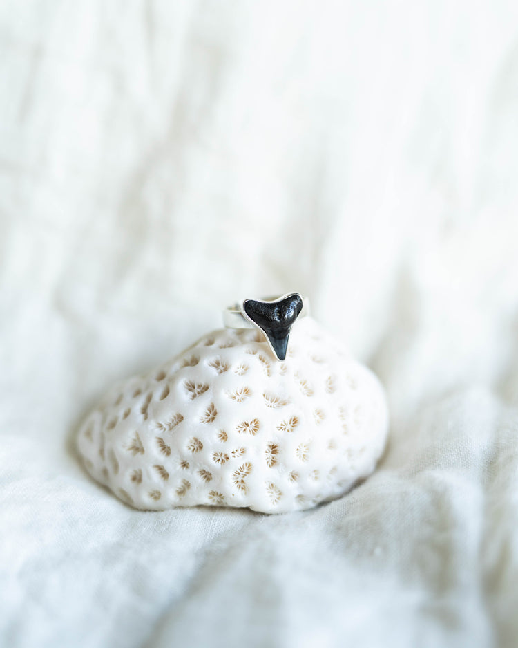 found at sea fossil ring size 7