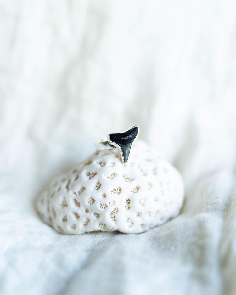 found at sea fossil ring size 8