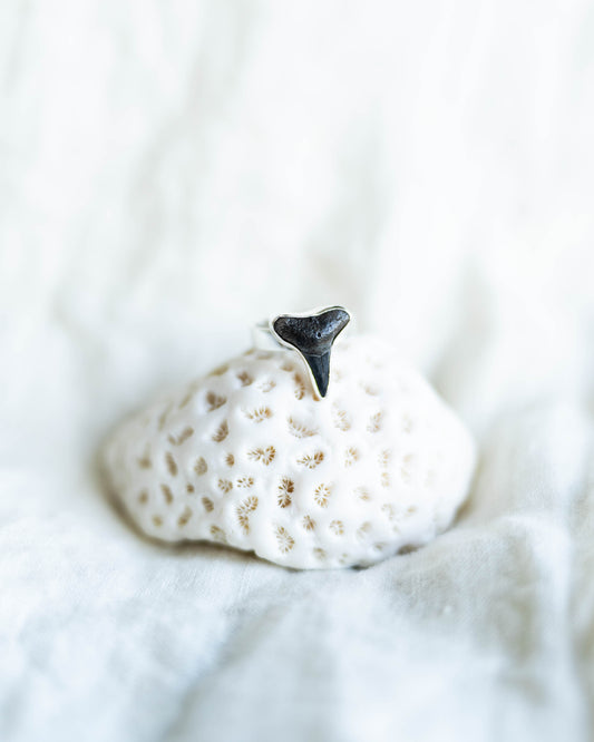 found at sea fossil ring size 7