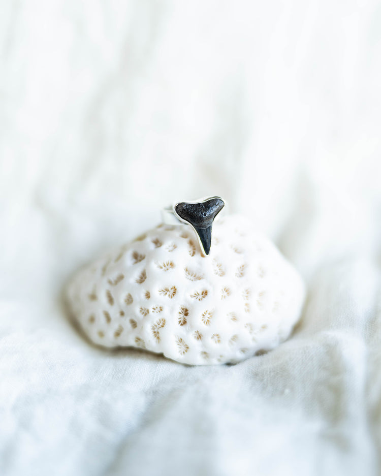 found at sea fossil ring size 7