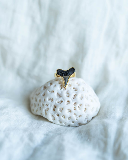 gold found at sea fossil ring size 7