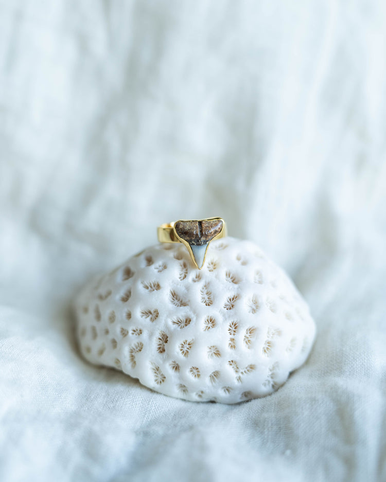 gold found at sea fossil ring size 6