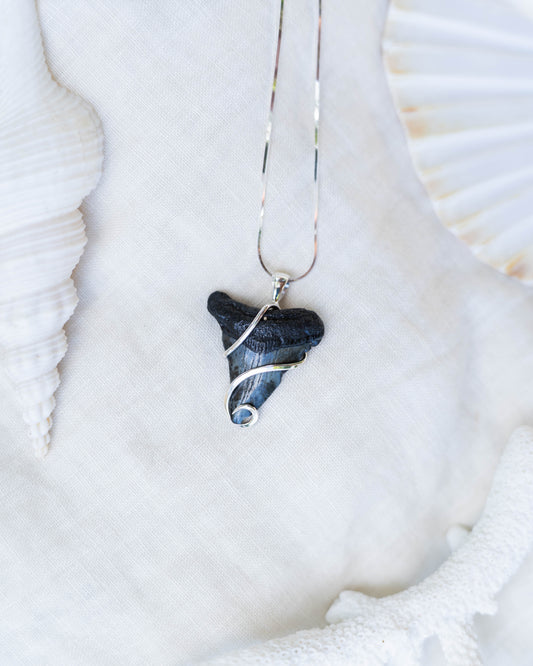 fossil swirl necklace