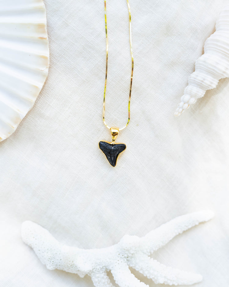 gold moana necklace