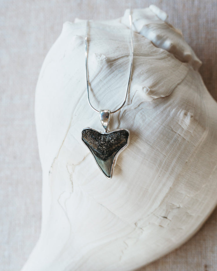 moana necklace