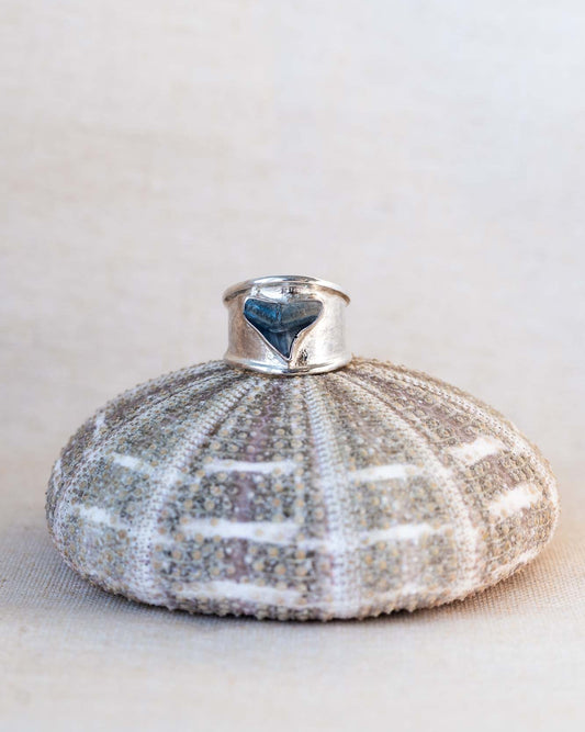 apex ring size 10