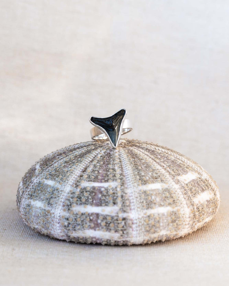 found at sea fossil ring size 7