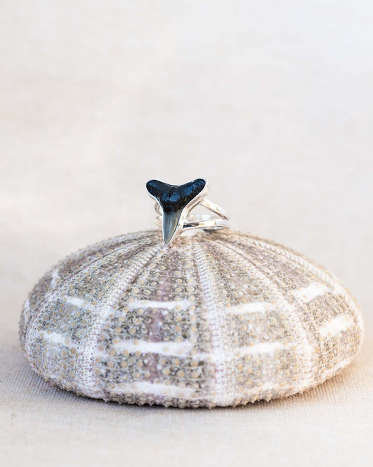 double wide band found at sea fossil ring size 7