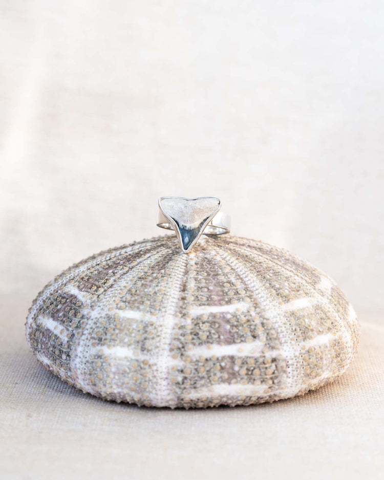 found at sea fossil ring size 8.5