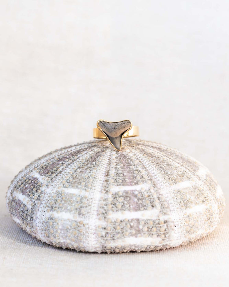 gold found at sea fossil ring size 7