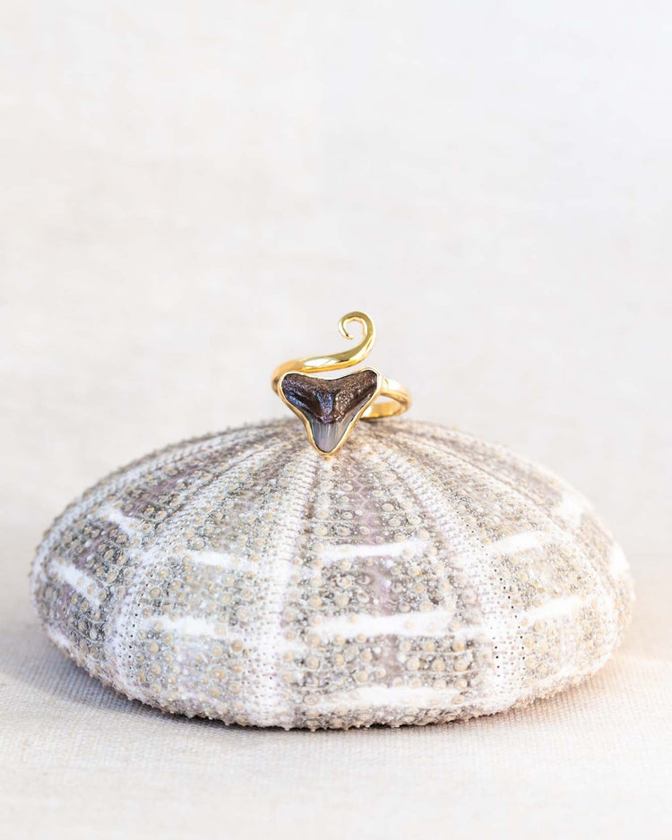 gold swirl wrap ring size 8