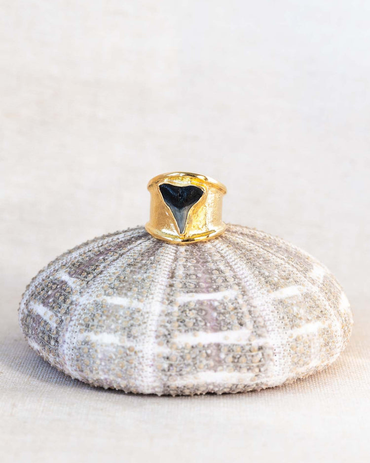 gold apex ring size 8