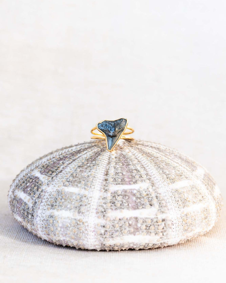 gold thin reef goddess ring size 7