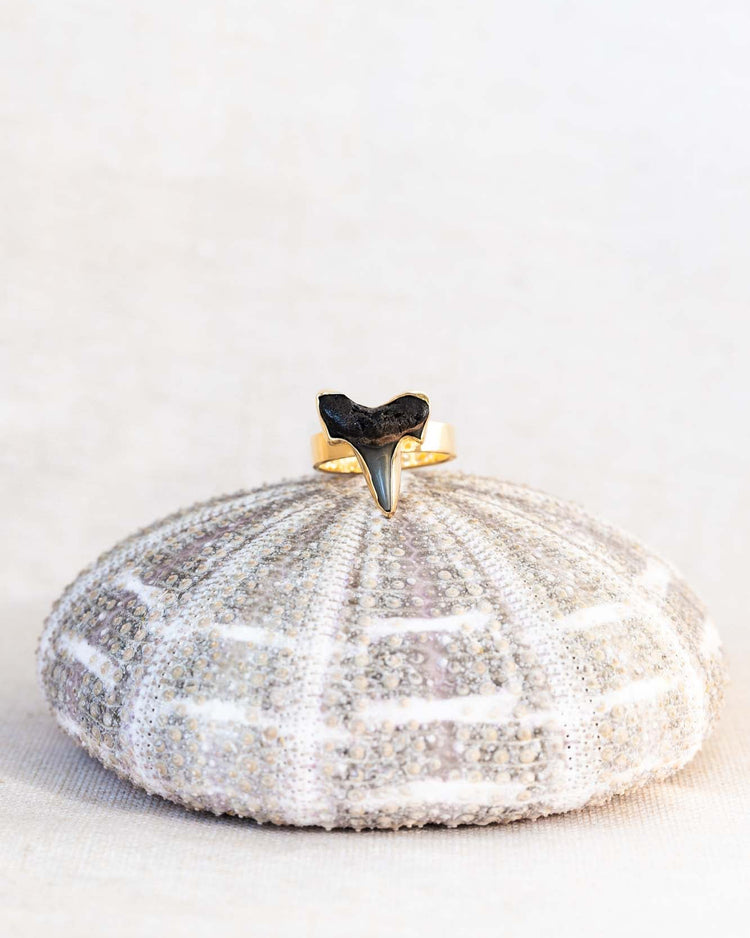 gold found at sea fossil ring size 7