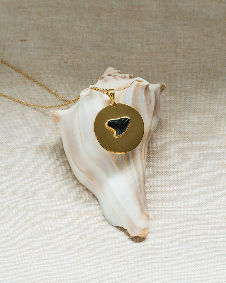 gold large found at sea coin necklace