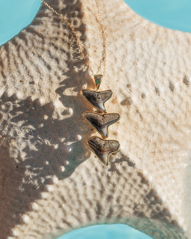gold descent necklace