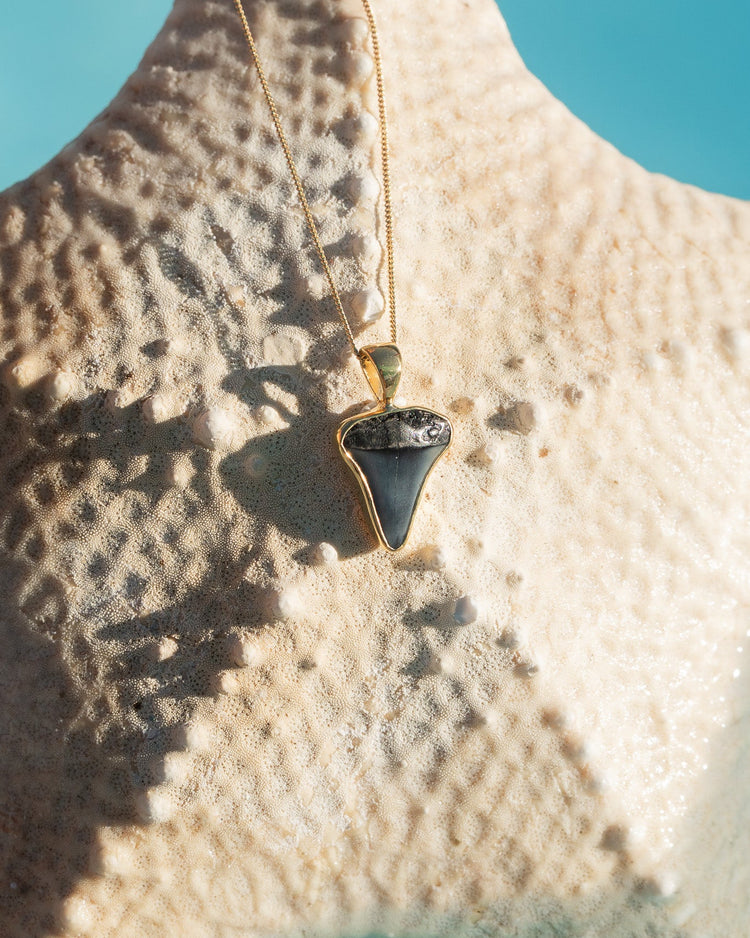 gold moana necklace