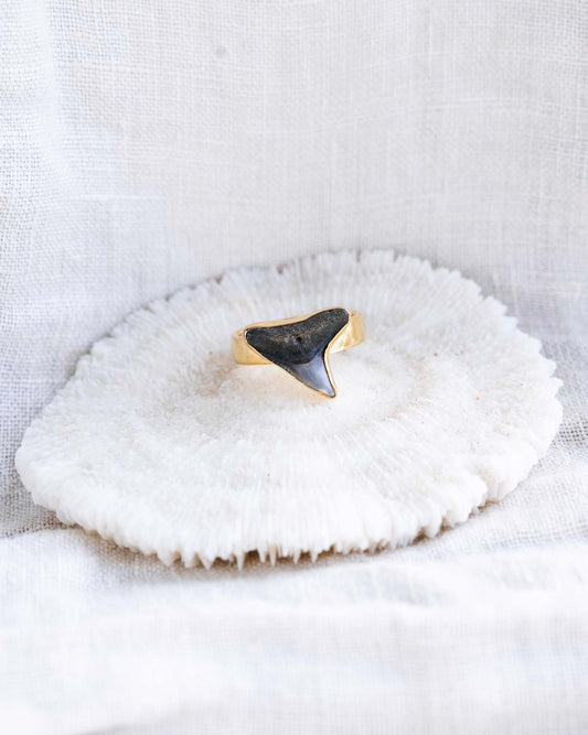 gold found at sea fossil ring size 6