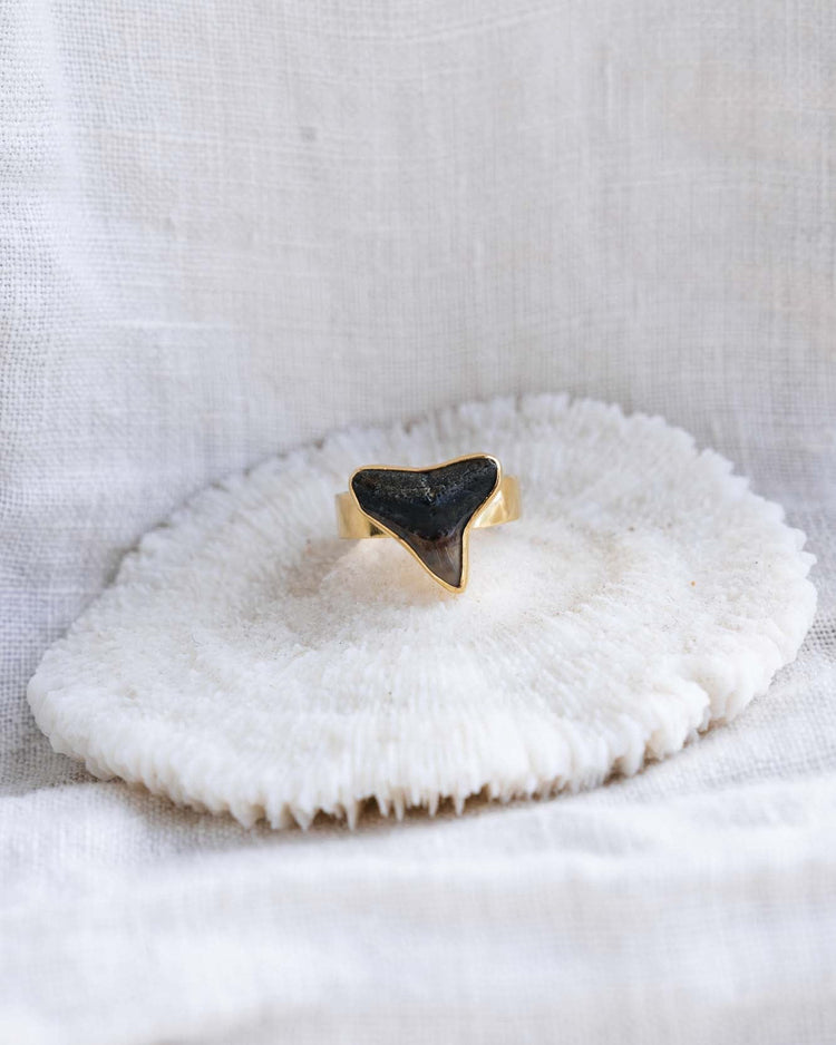 gold found at sea fossil ring size 5