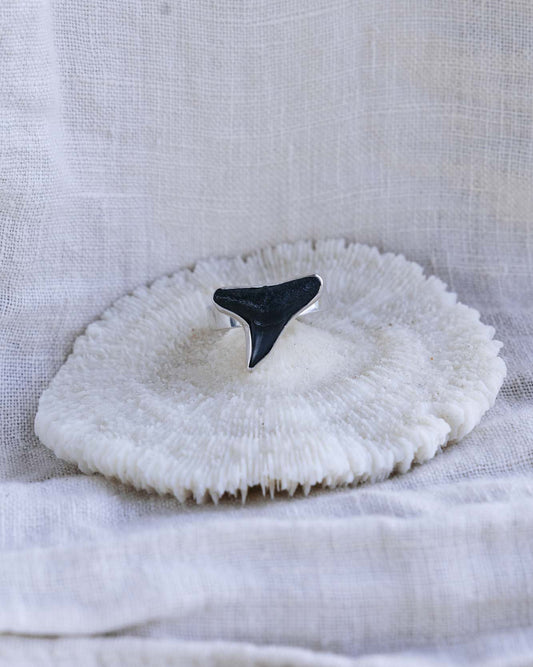 found at sea fossil ring size 7