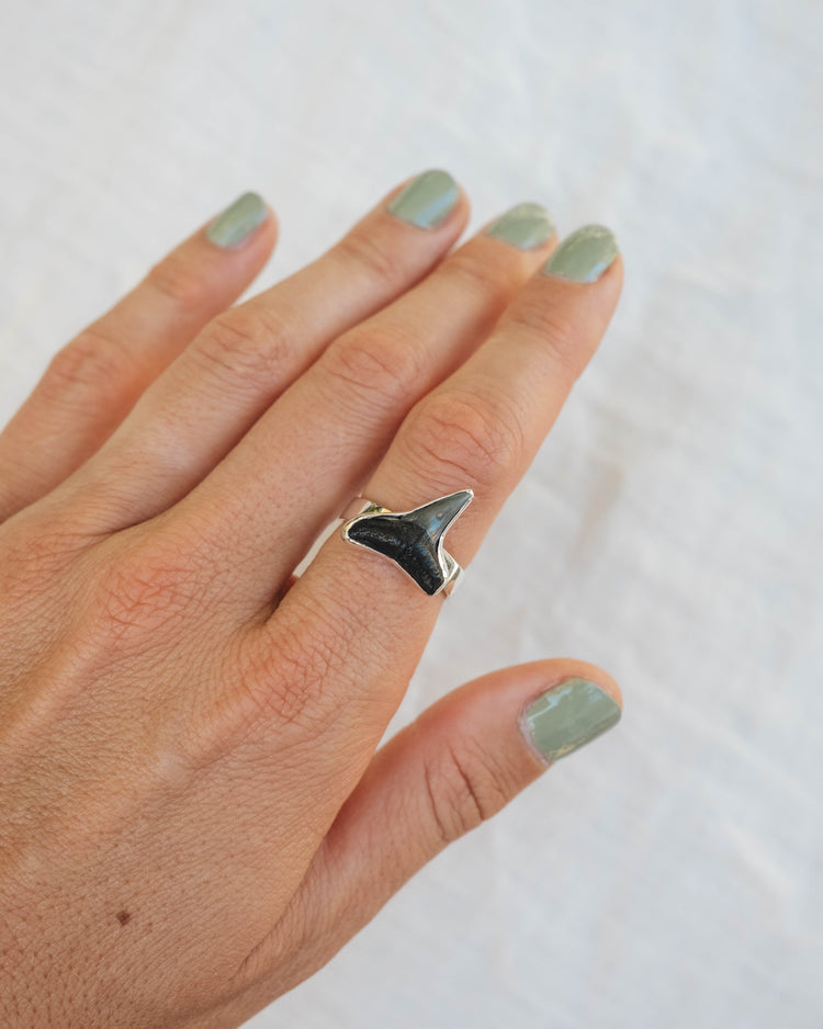 found at sea fossil ring size 8