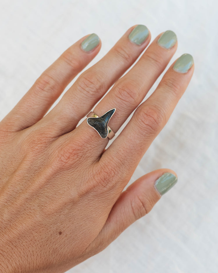 found at sea fossil ring size 7