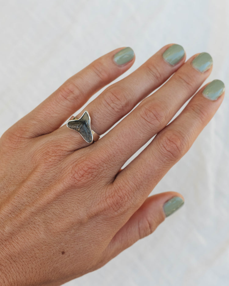 found at sea fossil ring size 6