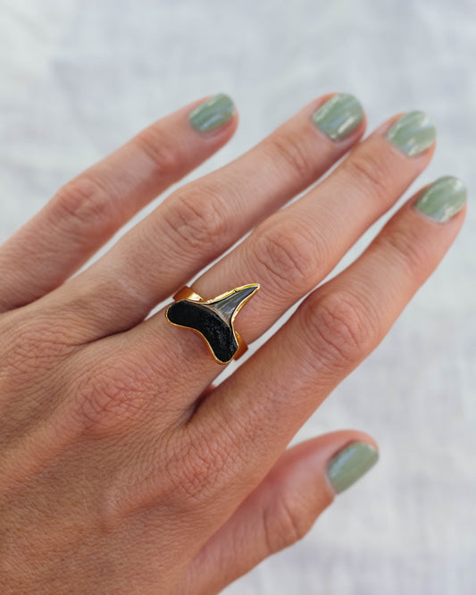 gold found at sea fossil ring size 7