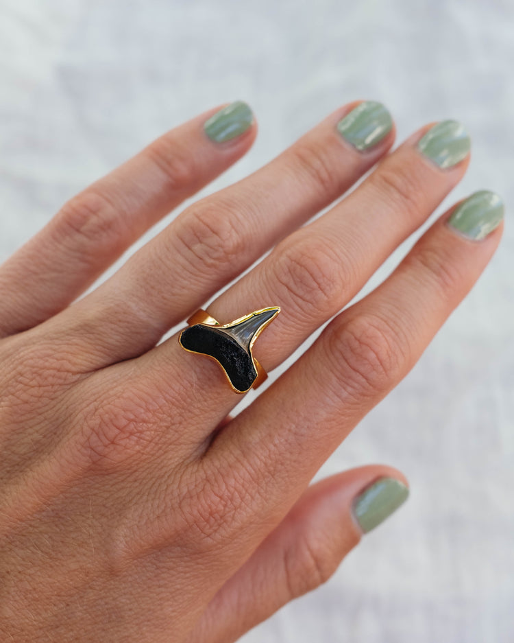 gold found at sea fossil ring size 7