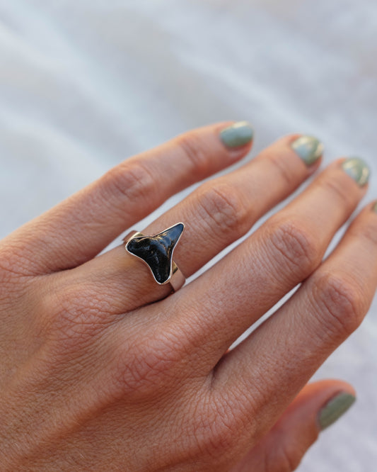 found at sea fossil ring size 7