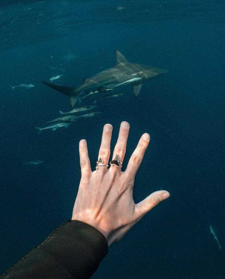 found at sea fossil ring size 8