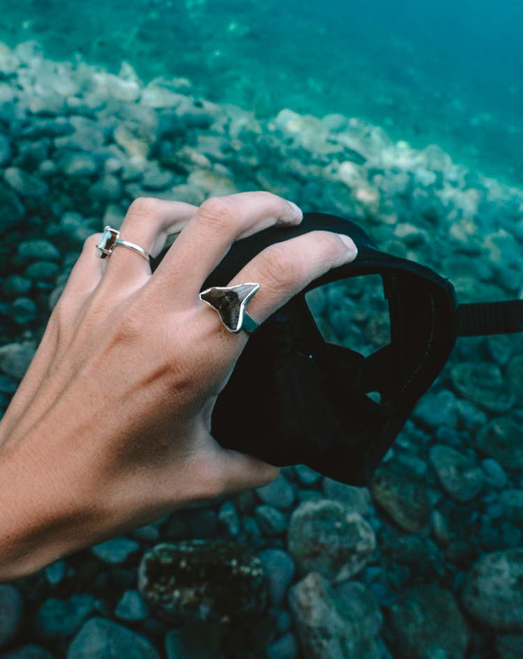 found at sea fossil ring size 7