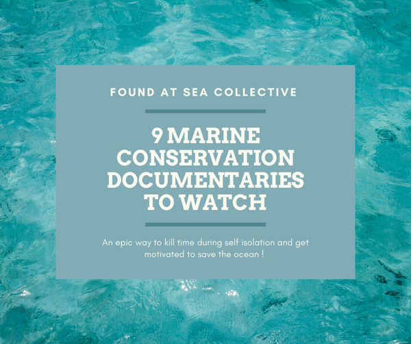 9 Marine Conservation Documentaries to Watch During Self Isolation