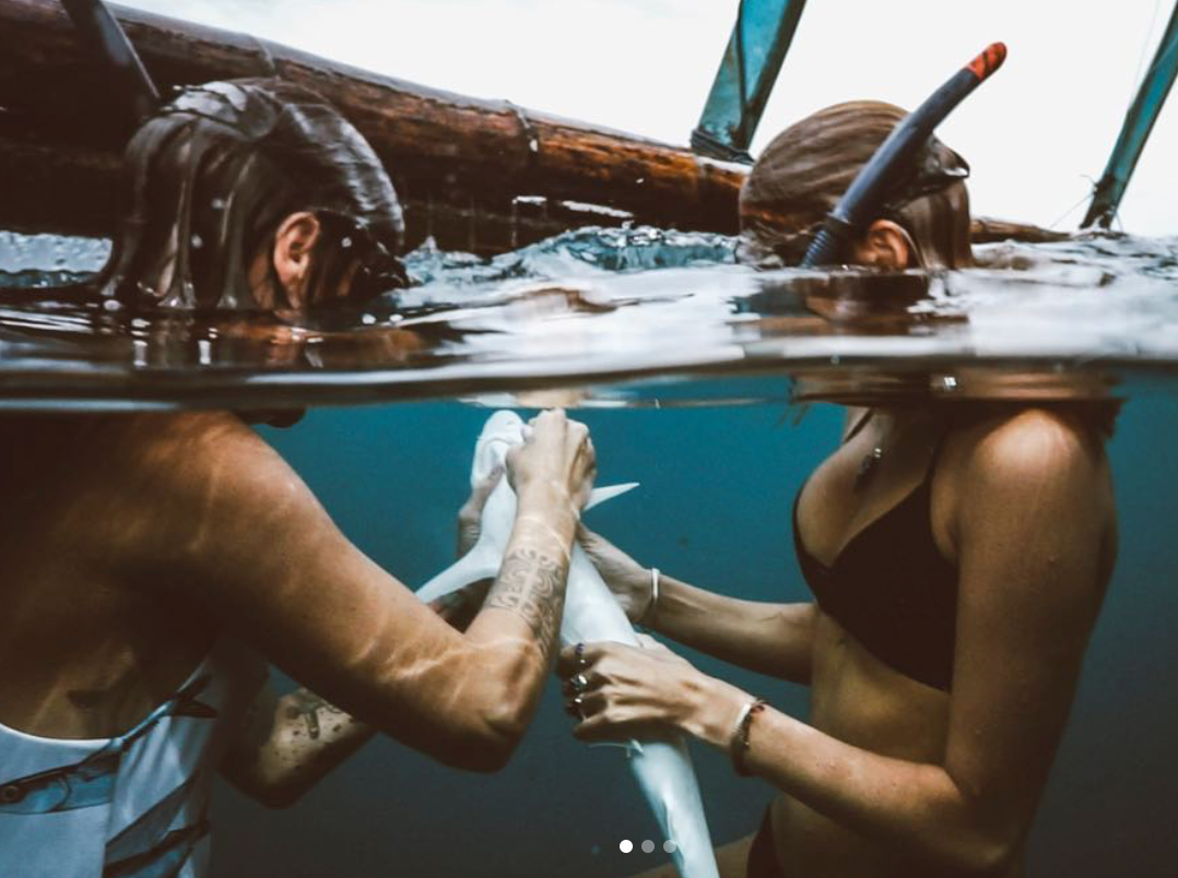 Shark Rescue in Papua