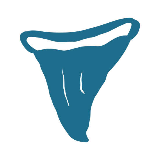 Supporting shark conservation