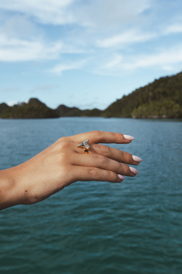 Gold Found At Sea Ring size 6