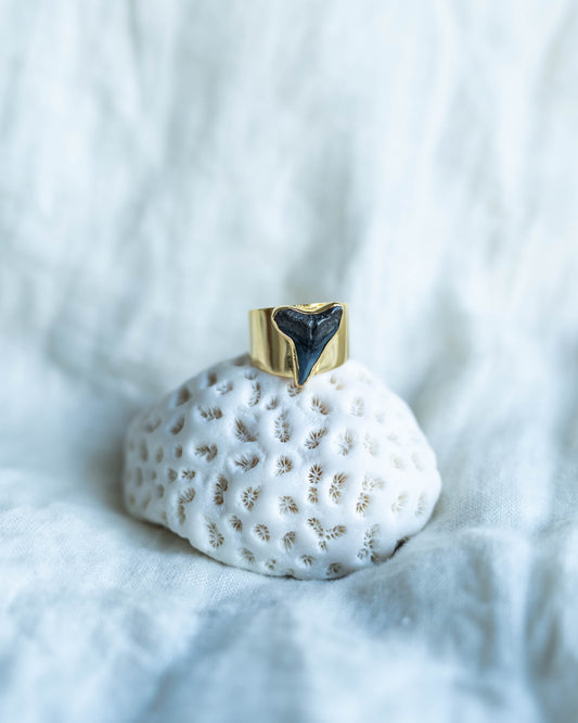 gold wide band fossil ring size 8