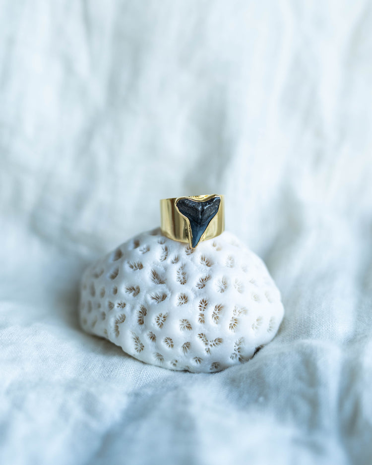 gold wide band fossil ring size 8