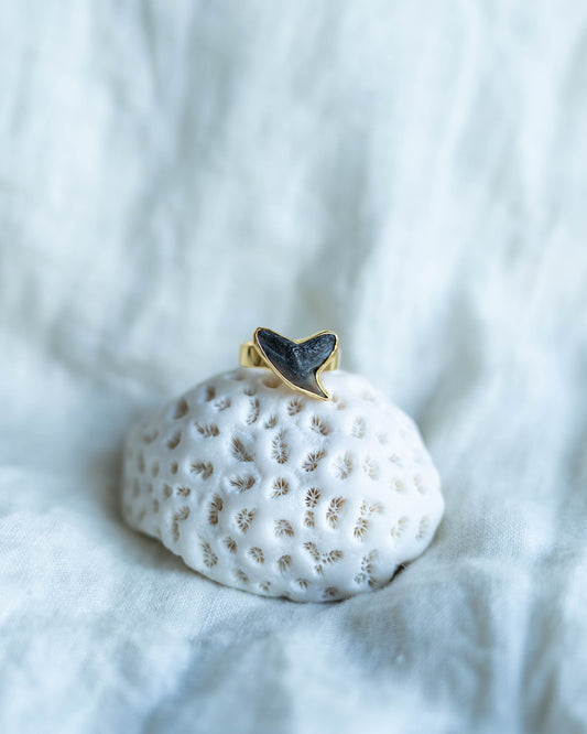 gold found at sea fossil ring size 7