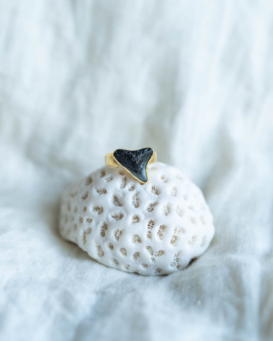 gold found at sea fossil ring size 8