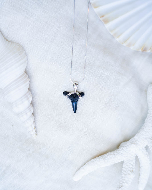 hiu necklace