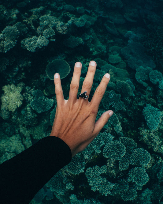 found at sea fossil ring size 7