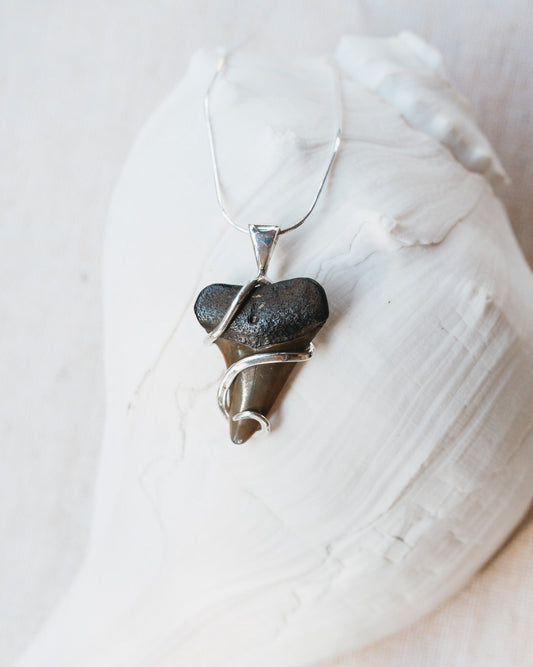 fossil swirl necklace