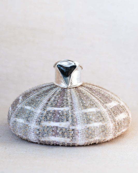 apex ring size 8