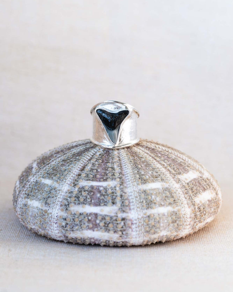 apex ring size 8