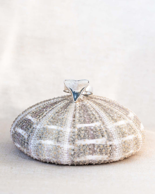 found at sea fossil ring size 8.5